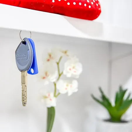 New Luxury - Private Underground Parking - M8 & Rer D Apartment Maisons-Alfort